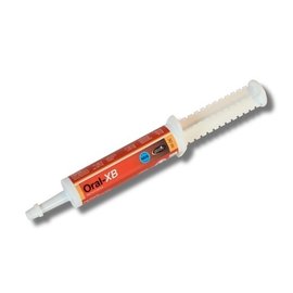 HorseMaster ORAL XB BOOSTER seringue orale - booster oral syringe