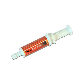 HorseMaster PRO L - CARNITINE oral syringe l carnitin supplement