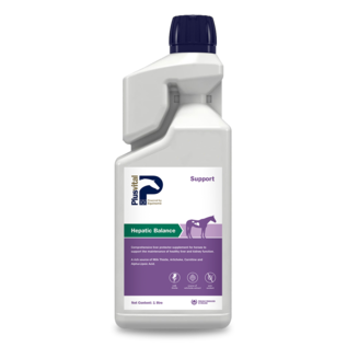 PlusVital Plusvital Hepatic Balance 1L