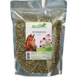 Stiefel Echinacea, cut