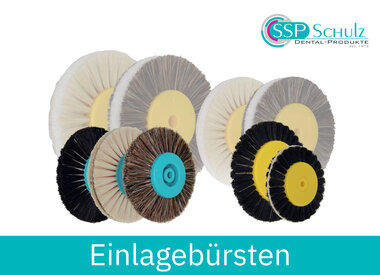 Einlagebürsten