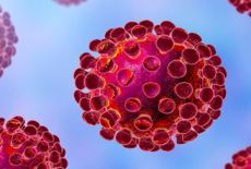 Se laver et se sécher les mains correctement est crucial dans la lutte contre le coronavirus