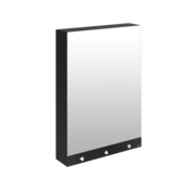 Delabie Mirror cabinet with 4 functions