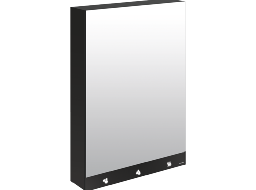 Delabie Mirror cabinet with 4 functions