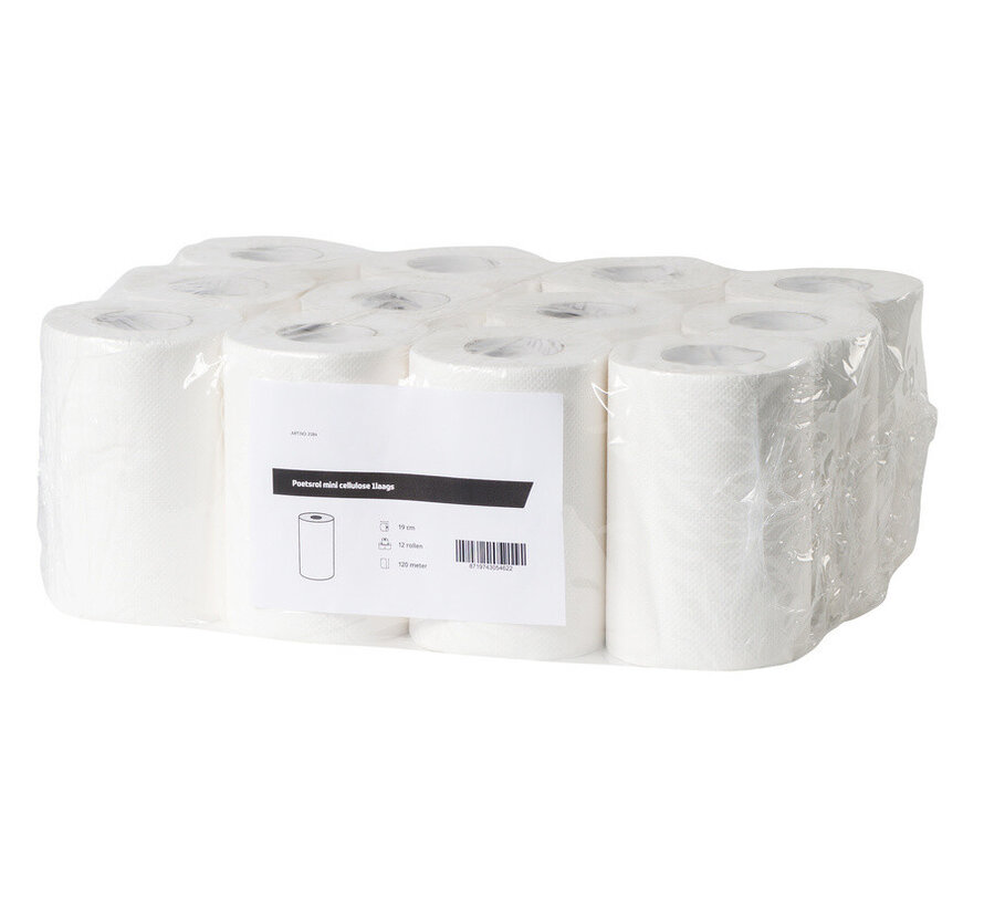 Rouleau d'essuyage mini cellulose 1 pli avec mandrin (12 x 120 m) - 2184-FSC