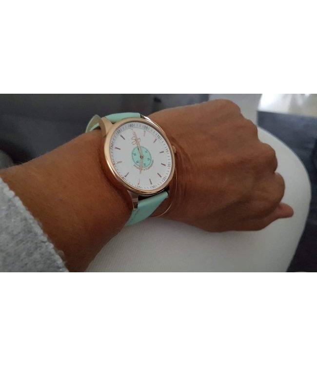 Florida's Miami - Webster