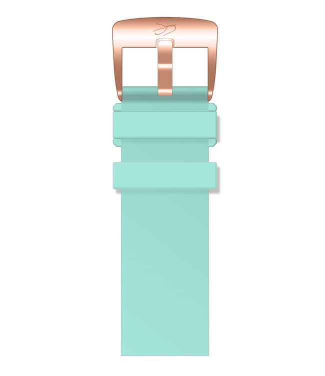 Strap Master Rose Gold Series  Aqua