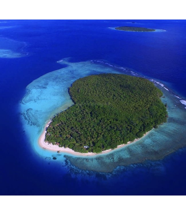 Dutch Master Vava U silver polished 3-hand 10 ATM