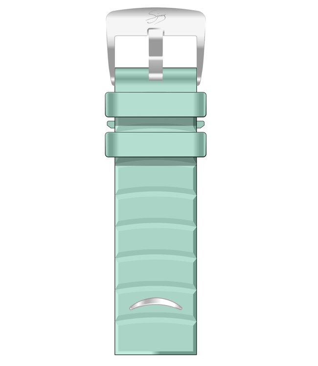 Mint Giant 55 Silver Strap w Buckle