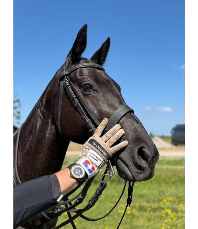 Dutch Master Gallimard  triple plated black matte 3-hand 10 ATM