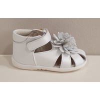 Zecchino D'oro Zecchino D'oro Schoentjes Wit