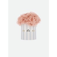 Angel's Face Tutu Blush