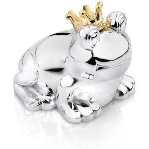 Zilverstad Spaarpot kikker