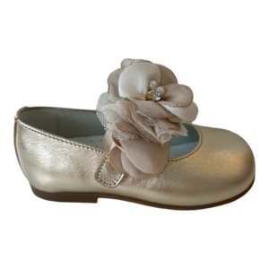 Andanines Ballerina's