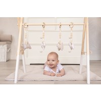 Caramella Babygym