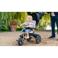 Bentley Tricycle Bentley Tricycle