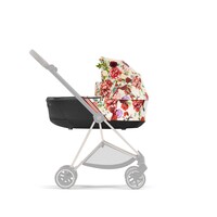 Cybex Mios Reiswieg