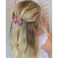 Fall & Scott Haarclips, 2 stuks