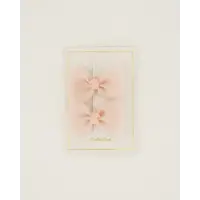 Fall & Scott Haarclips, 2 stuks