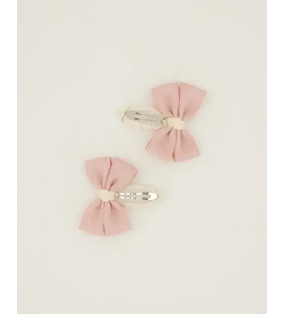 Fall & Scott Haarclips, 2 stuks