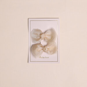 Fall & Scott Haarclips, 2 stuks