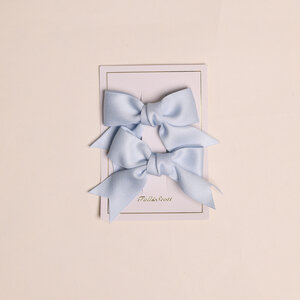 Fall & Scott Haarclips, 2 stuks