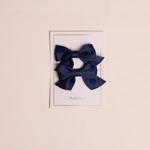 Fall & Scott Haarclips, 2 stuks