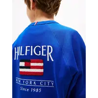 Tommy Hilfiger Sweater