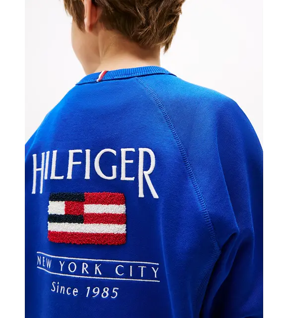 Tommy Hilfiger Sweater