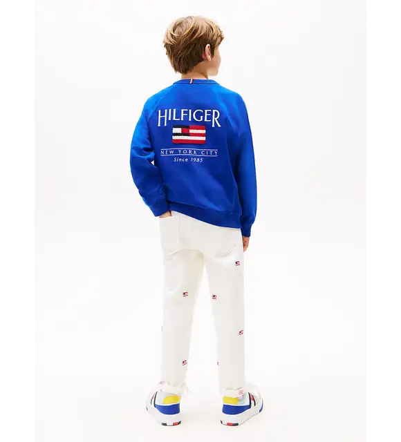 Tommy Hilfiger Sweater