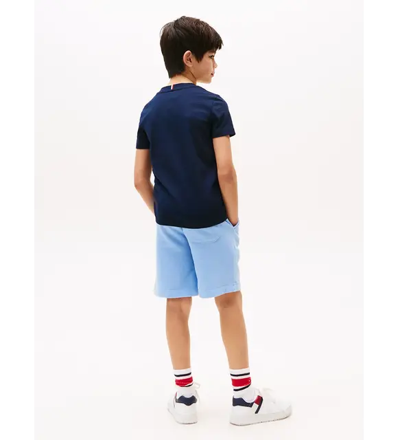 Tommy Hilfiger T-shirt