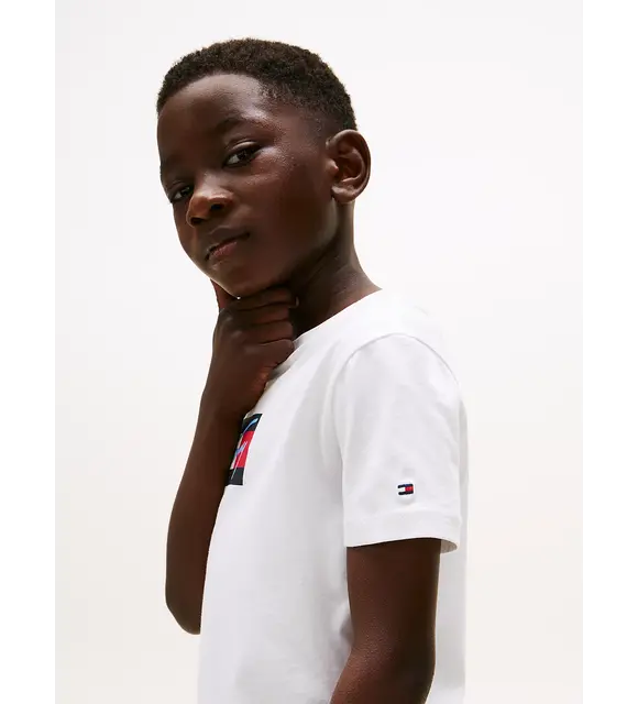 Tommy Hilfiger T-shirt