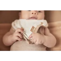 Jollein Slabber bandana, 2 stuks