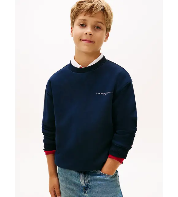 Tommy Hilfiger Sweater