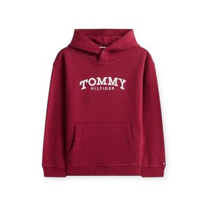 Tommy Hilfiger Hoodie