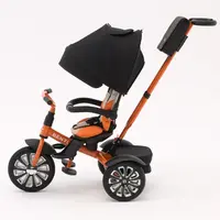 Bentley Tricycle