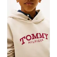 Tommy Hilfiger Hoodie