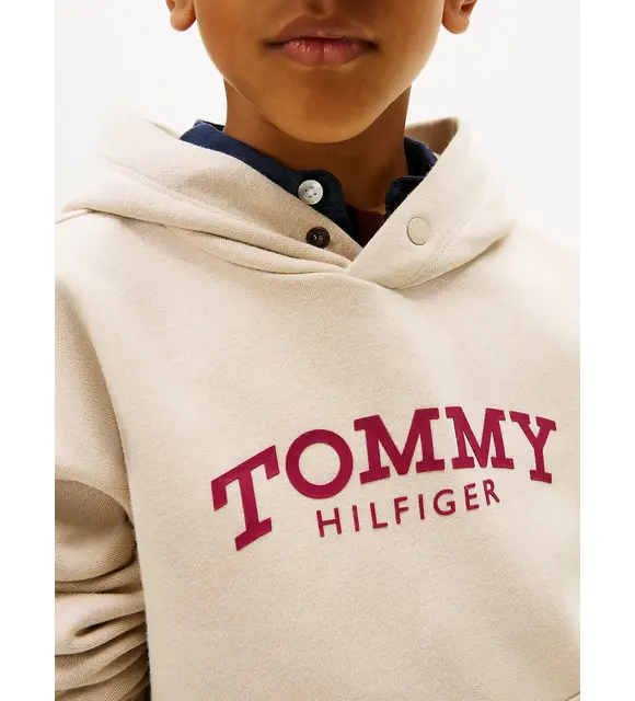 Tommy Hilfiger Hoodie