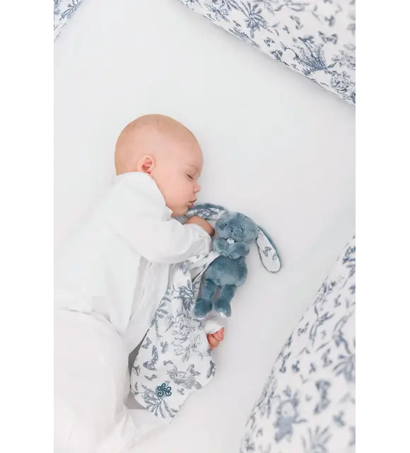 Tartine et Chocolat Doudou konijn