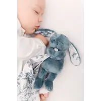 Tartine et Chocolat Doudou konijn