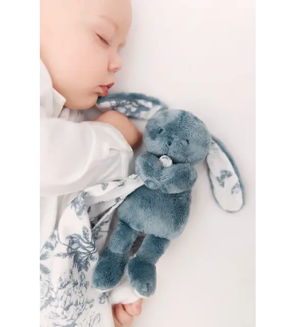 Tartine et Chocolat Doudou konijn