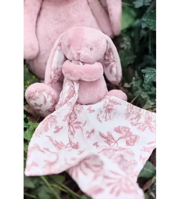 Tartine et Chocolat Doudou konijn