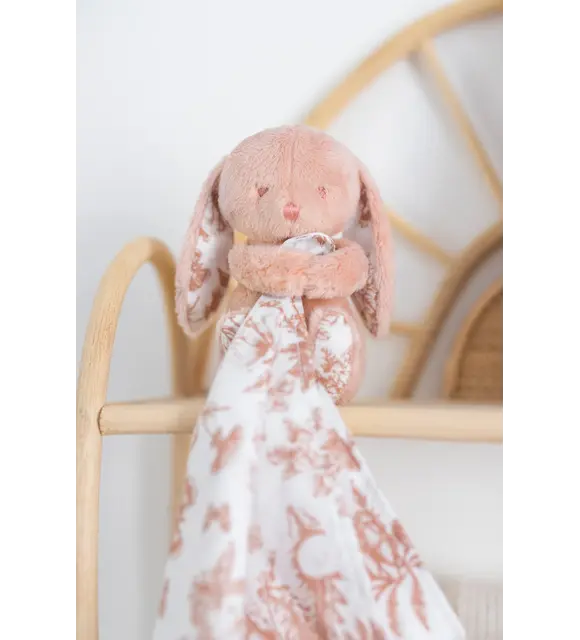 Tartine et Chocolat Doudou konijn