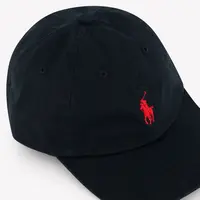 Ralph Lauren Pet