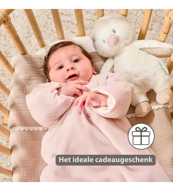 Nattou Knuffel eendje