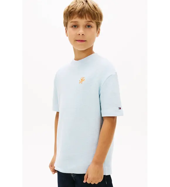 Tommy Hilfiger Shirt