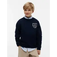 Tommy Hilfiger Sweater