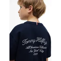 Tommy Hilfiger T-shirt