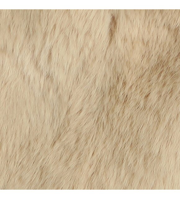 Gymp Coat