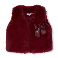 A Dee Gilet